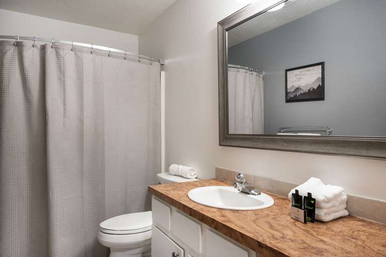 Hallway Bathroom | Main Level