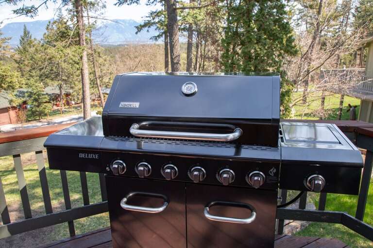 Grilling Up Some Great BBQ | Exterior