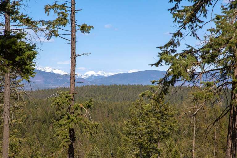 Snow Caped Mountain Tops | Exterior