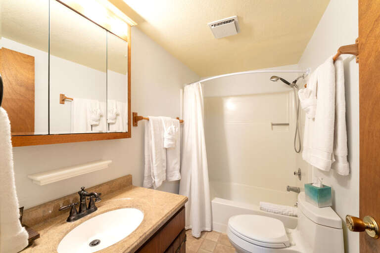 Lower Level Full Shared Bathroom with Tub/Shower Combo | Lower Level