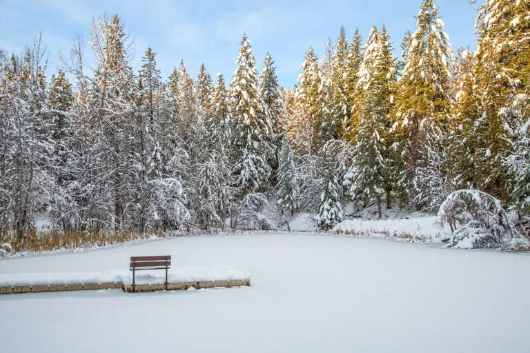 Beautiful forest views | Exterior Beautiful forest views | Exterior