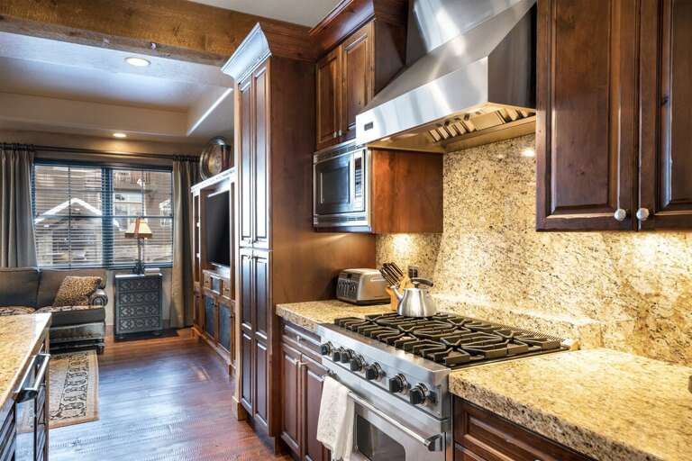 Gourmet kitchen. Gourmet kitchen.