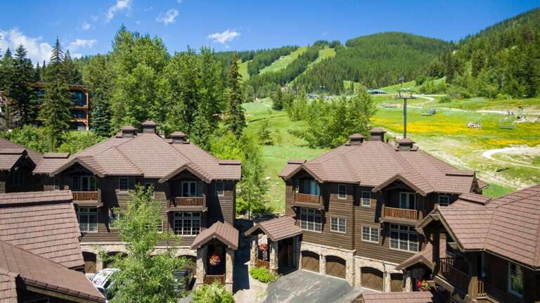 Lush green in the summer | Exterior