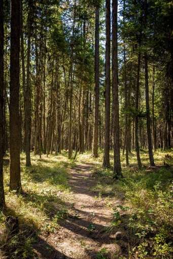 Admire the wilderness | Exterior Admire the wilderness | Exterior