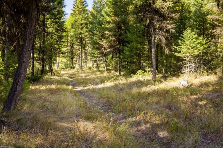 Explore the area | Exterior Explore the area | Exterior