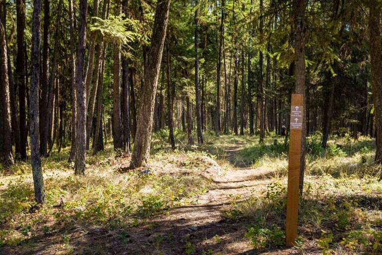 Take your mountain bike out | Exterior Take your mountain bike out | Exterior