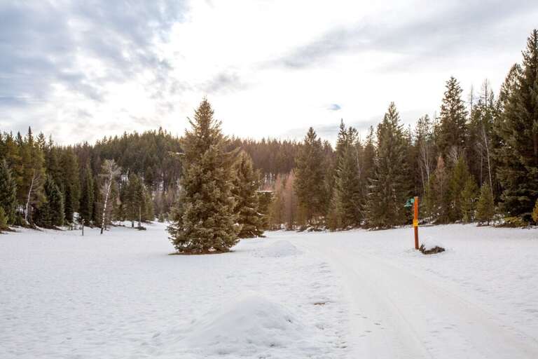 Road into Property and Forest Views | Exterior
