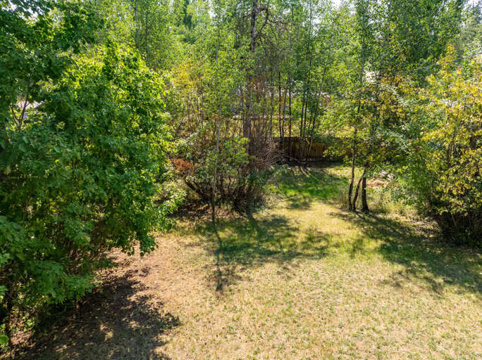 Lots of Beautiful Foliage | Exterior