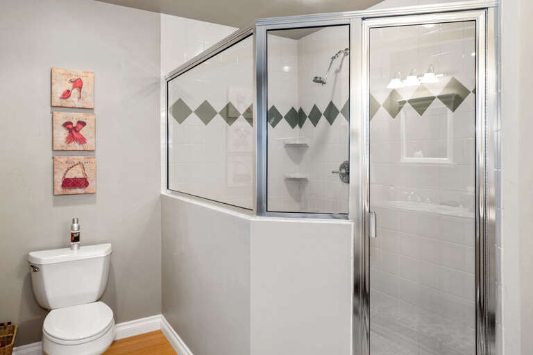 Master Bath Shower