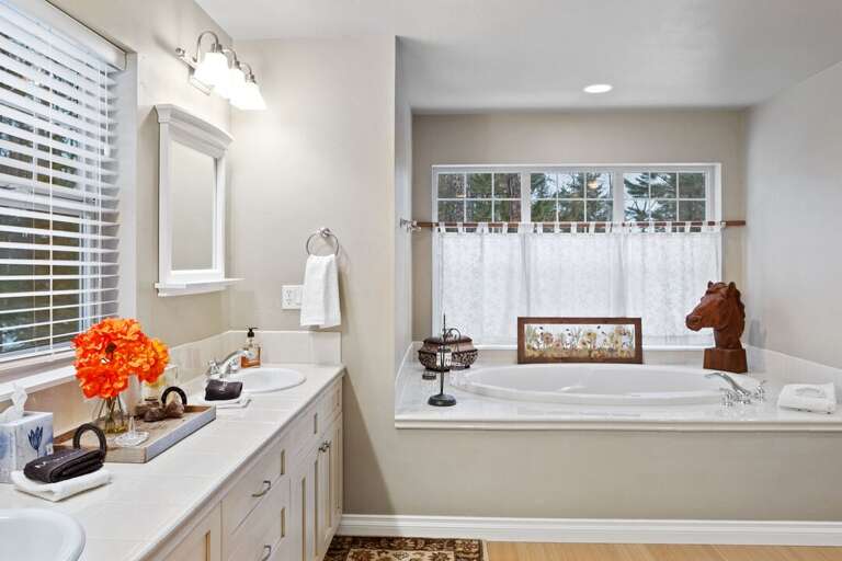 Master Bath Soaking Tub