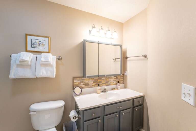 Master bathroom with single vanity and tub/shower combo