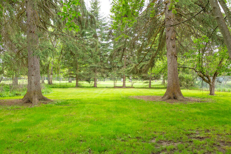 Backyard Views | Exterior Backyard Views | Exterior