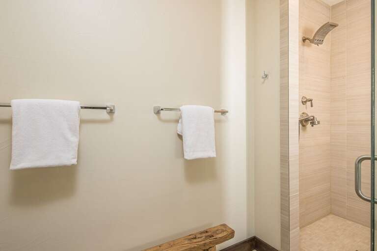 Walk-in Shower | Primary Bathroom