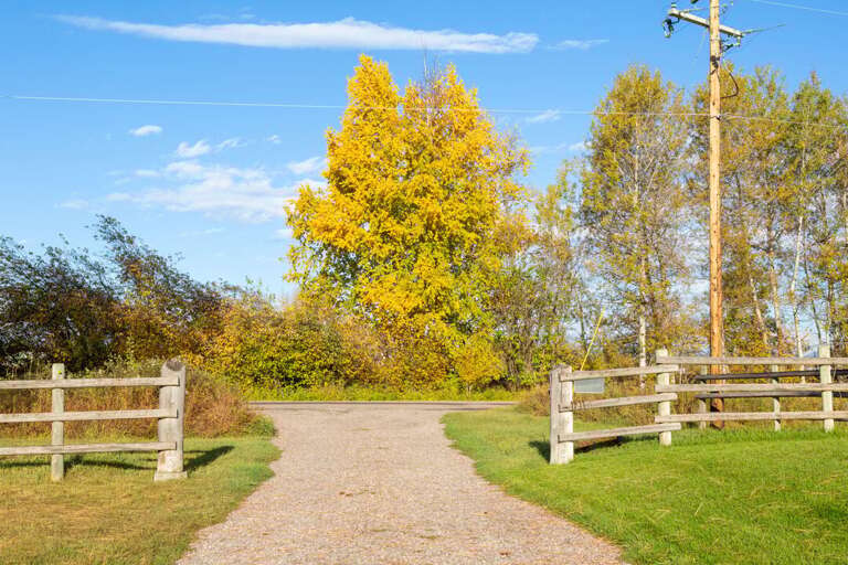 Driveway surrounded by the changing leaves.