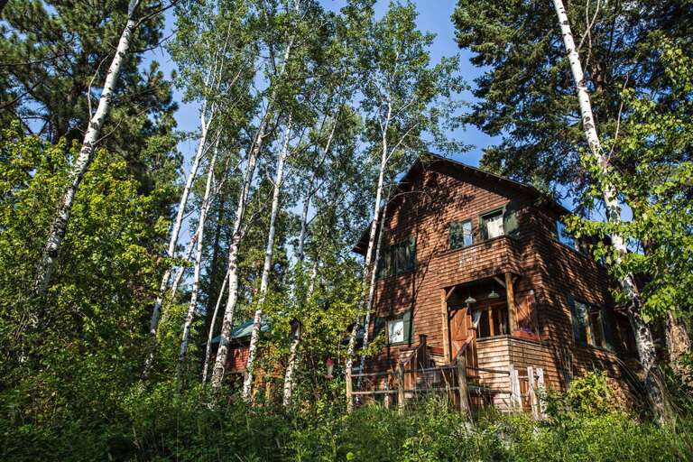Brick Building Nestled Between Tall Trees