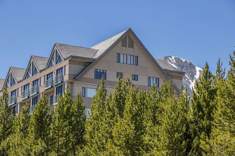 Building Behind Green Trees Under Blue Sky