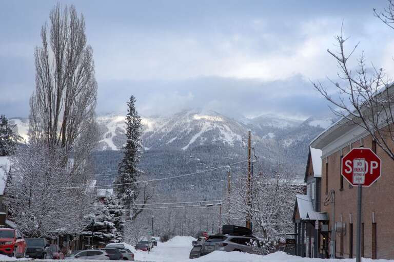 Flathead - WF - 206 Lupfer Unit 205