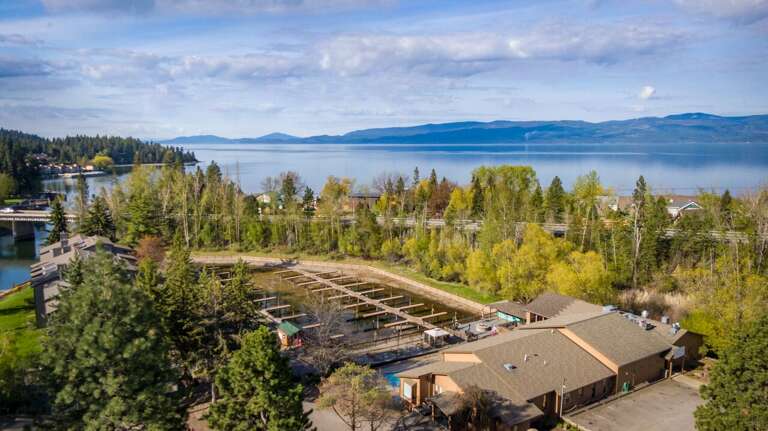 Lakeside Landscape With Lush Trees And Distant Mountains