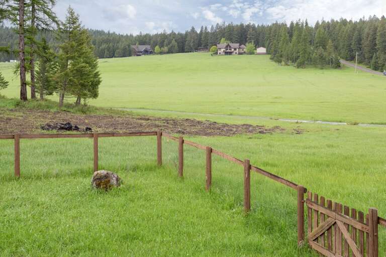 Fenced in backyard | Exterior