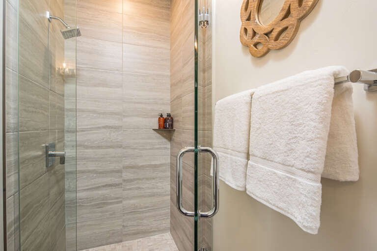 Tiled Glass Door Shower | Main Level