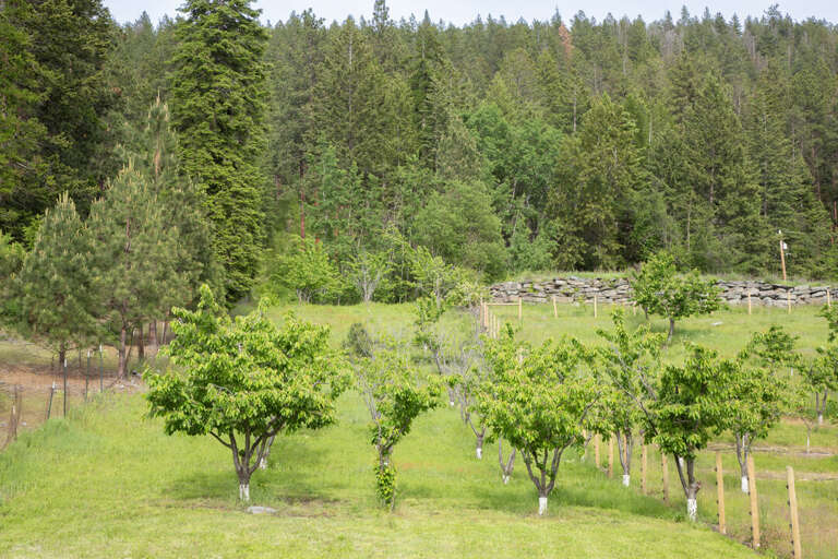 Flathead Valley - BF - 21566 MT Hwy 35