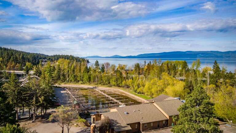 Find Rentals