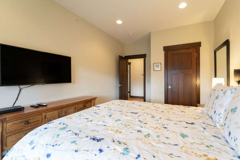 TV and closet. | Main Level