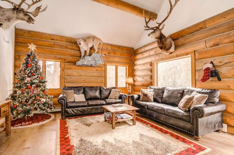 Big Sky Home Rental