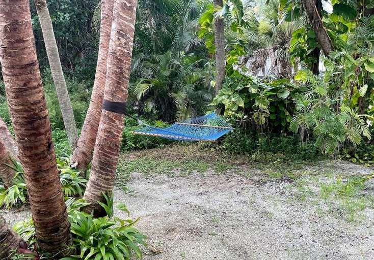 Relax on the hammock