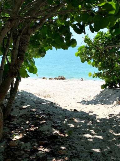 Beach access at the end of our road