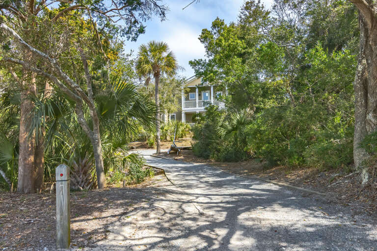 Path Leading To Sunlit House Surrounded By Palms And Pines