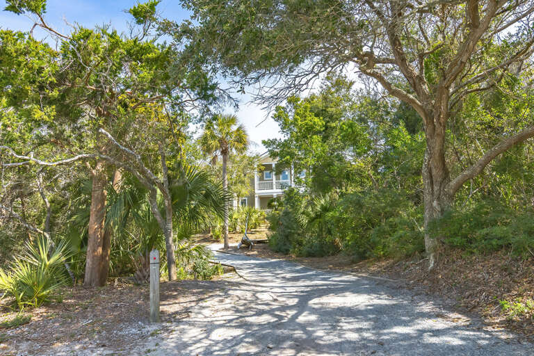 Shaded Path Leading To A Large House Nestled Among Leafy Trees