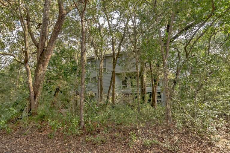 Secluded Structure Surrounded By Dense, Leafy Trees