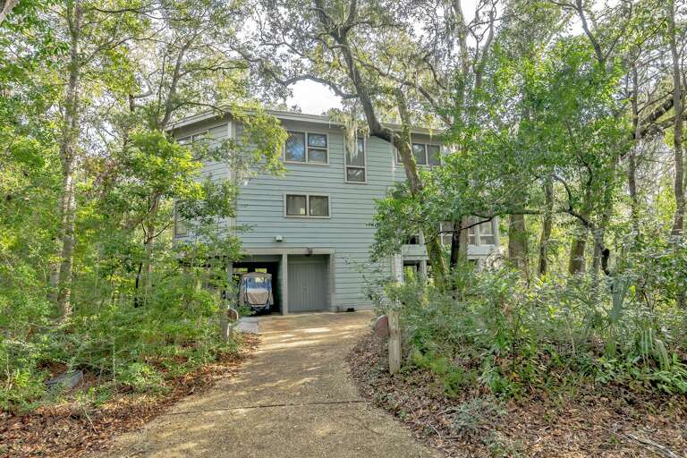 Green-gray Building Nestled Among Trees With A Driveway