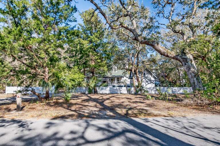 House Hidden Behind Trees, Sunlight Streaming, Shadows Sprawling On Street