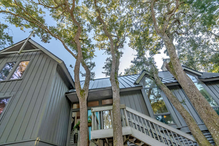 Vacation Rental Veiled By Verdant Vines And Vibrant Trees