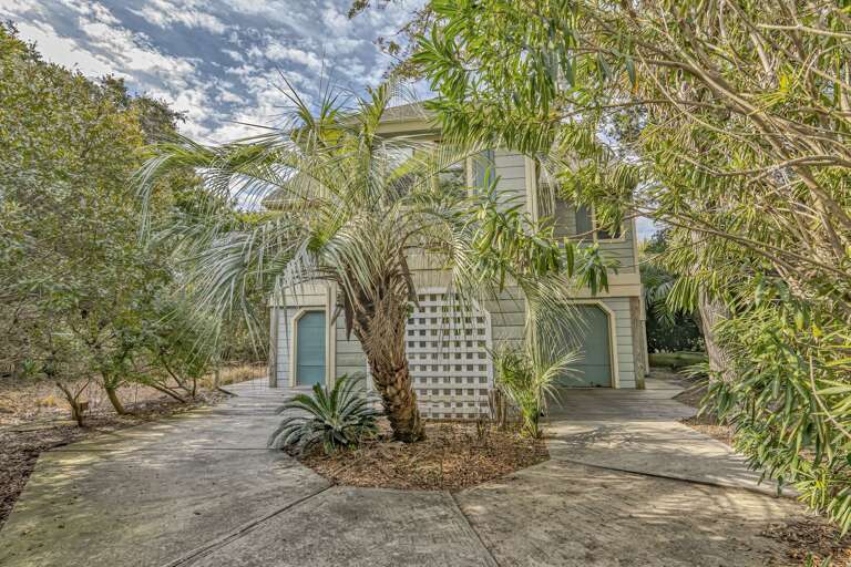 Palm-shaded Building Bordered By Bushes