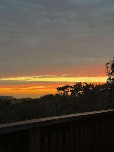 Sunset View From Balcony With Trees Sunset View From Balcony With Trees