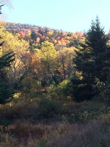 Fall foliage brings a magical array of colors. Not to be missed! This area was recently voted #1 in the country for Fall Foliage!