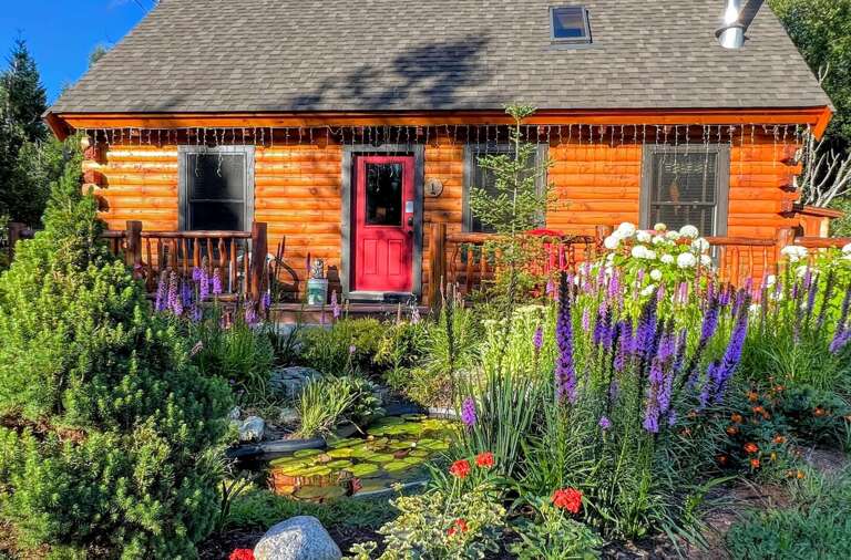 Summer gardens in the front yard
