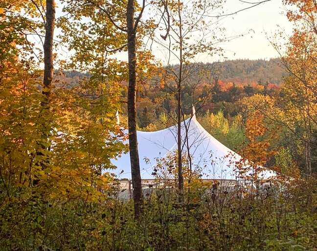A wedding tent poking through the woods