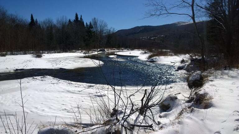 Winter view of the river