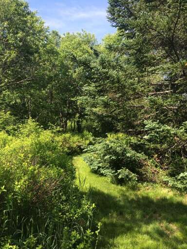 Enjoy stunning trails throughout the property