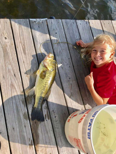 ... catch a fish! ... catch a fish!