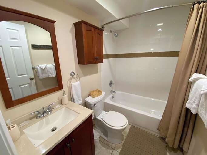 Lower level apartment bath