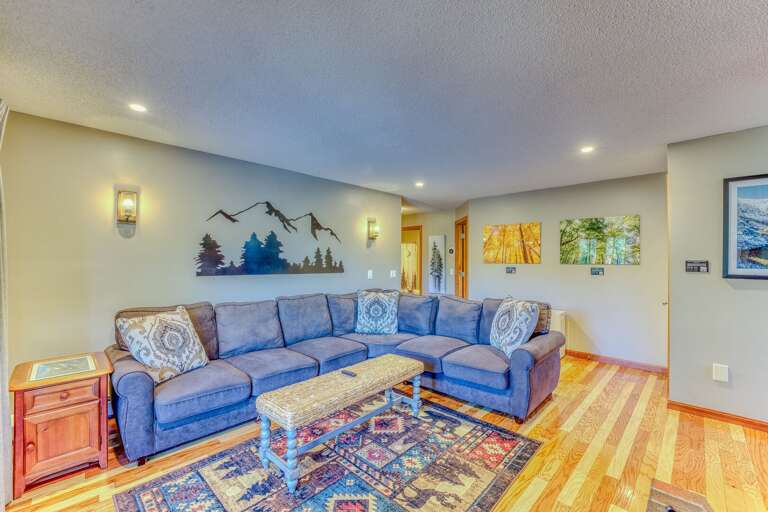 Lower level living area