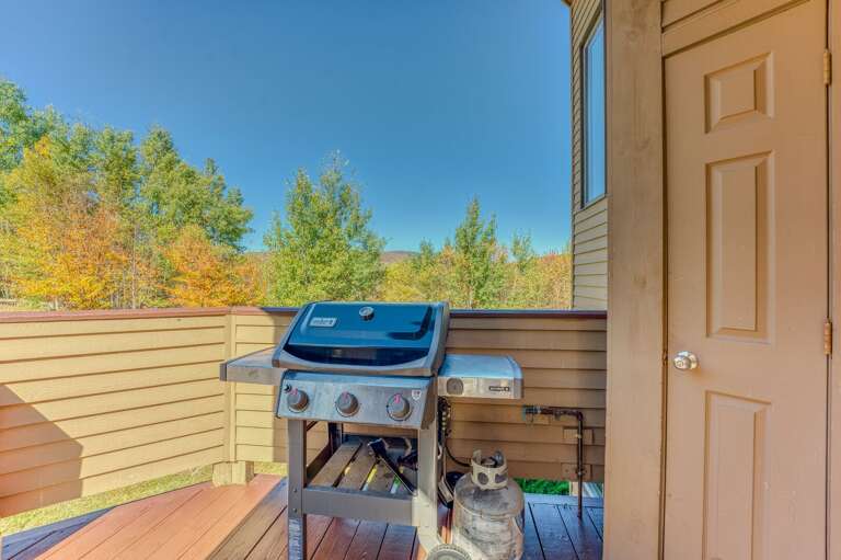 Propane grill for convenience