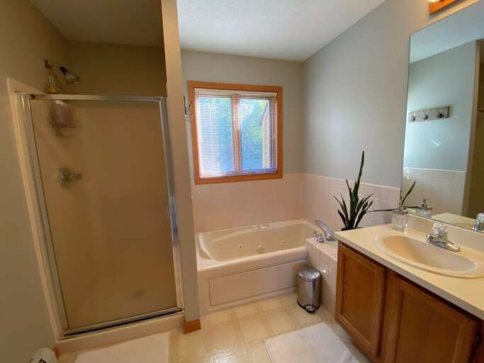 Main level bedroom ensuite bath with shower and tub