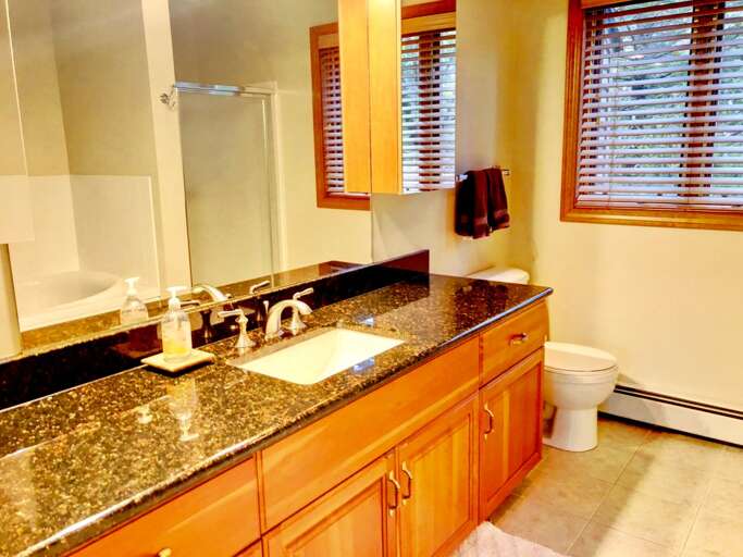 Bathroom #1 is located in the master bedroom and features Jacuzzi tub and shower.