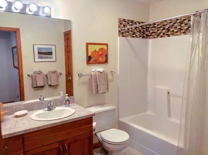 Lower Level Full Bathroom Lower Level Full Bathroom